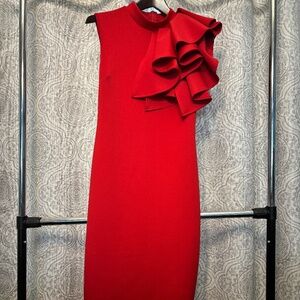 Bodycon Evening Dress